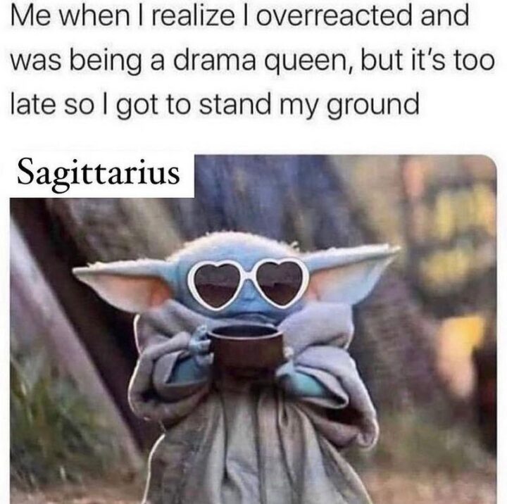 "Me when I realize I overreacted and was being a drama queen but it's too late so I got to stand my ground. Sagittarius."