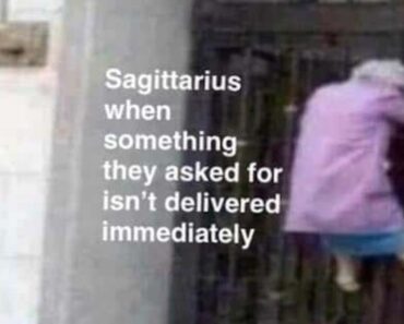 51 Funny Sagittarius Memes