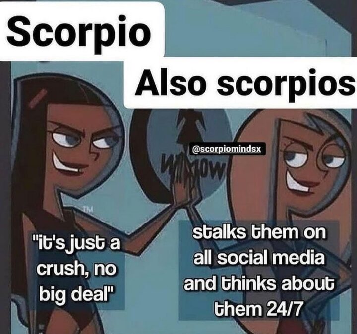 "Scorpio: It's just a crush, no big deal. Also Scorpios: Stalks them on all social media and thinks about them 24/7."