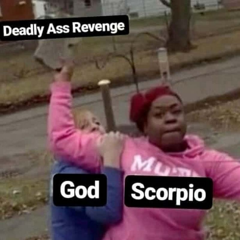61 Funny Scorpio Memes Zodiac Season From Oct 23 To Nov 22
