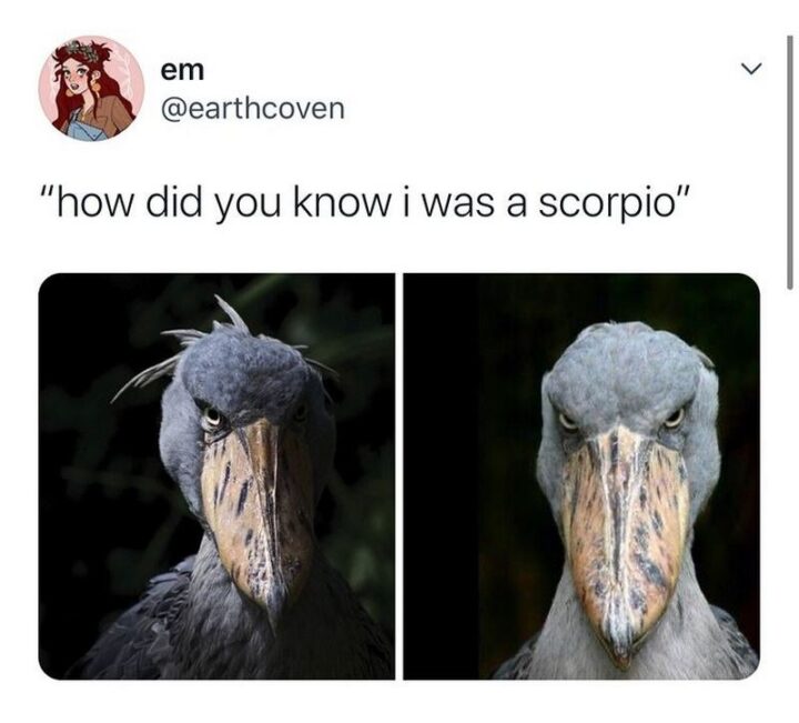 "How did you know I was a Scorpio?"
