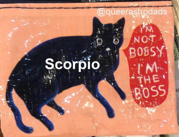 "Scorpio: I'm not bossy. I'm the boss."