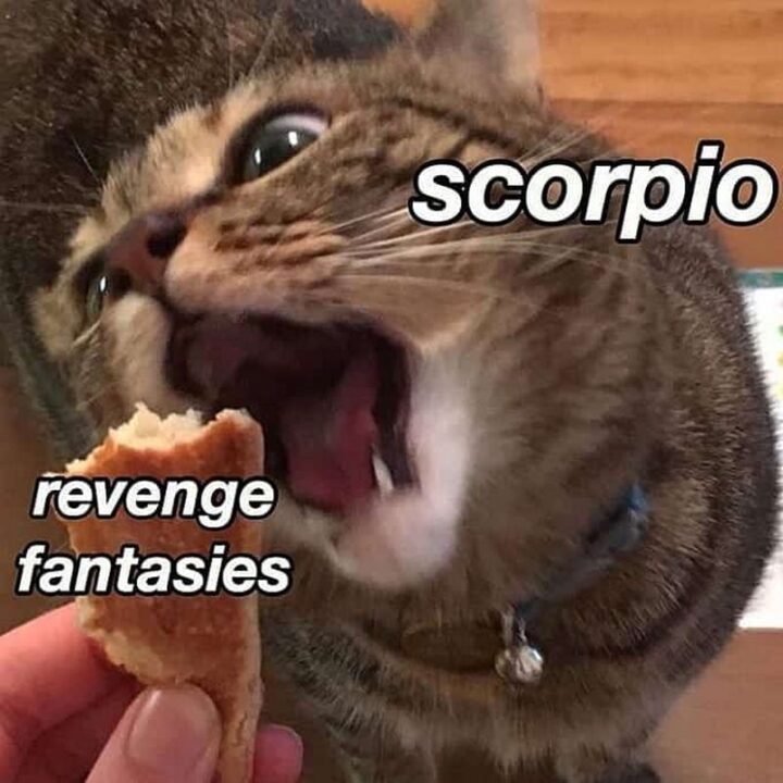 "Revenge fantasies. Scorpio."