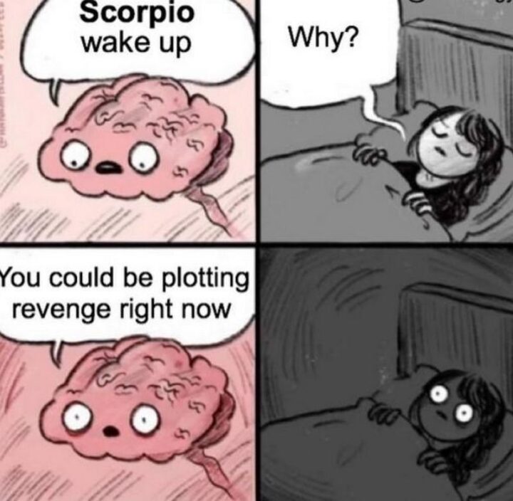 "Scorpio, wake up. Why? You could be plotting revenge right now."