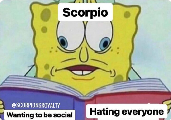 "Scorpio. Wanting to be social. Hating everyone."
