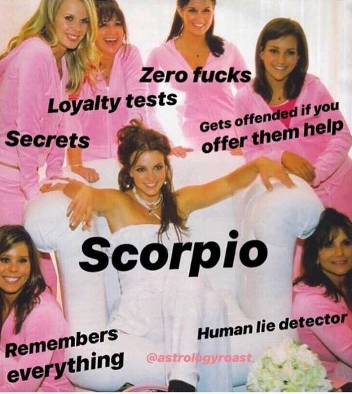 "Zero [censored]. Loyalty tests. Gets offended if you offer them help. Secrets. Remembers everything. Human lie detector. Scorpio."