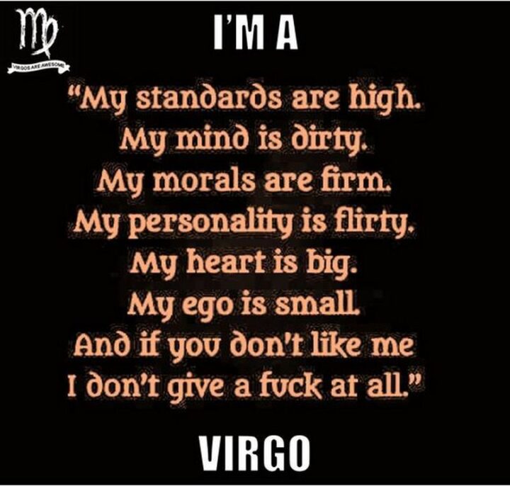 "I'm a Virgo. My standards are high. My mind is dirty. My morals are firm. My personality is flirty. My heart is big. My ego is small. And if you don't like me, I don't give a [censored] at all."