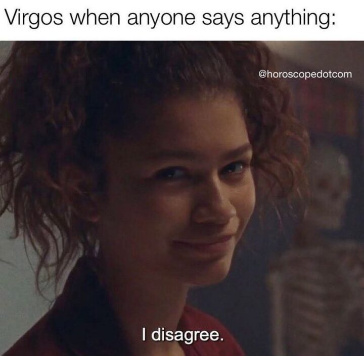 "Virgos when anyone says anything: I disagree."