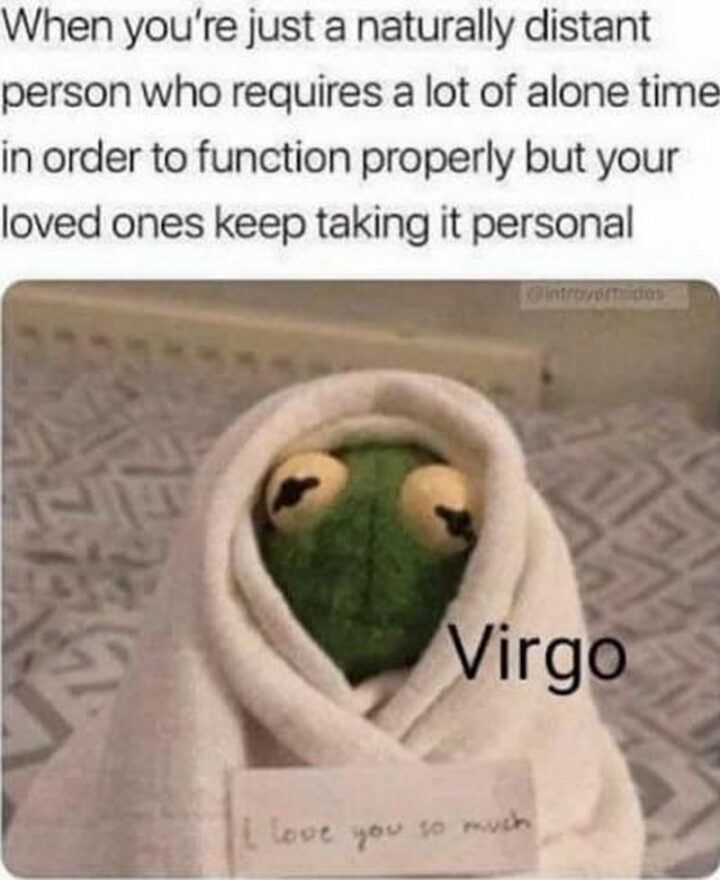 "When you're just a naturally distant person who requires a lot of alone time in order to function properly but your loved ones keep taking it personally. Virgo: I love you this much."