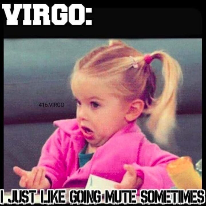 "Virgo: I just like going mute sometimes."