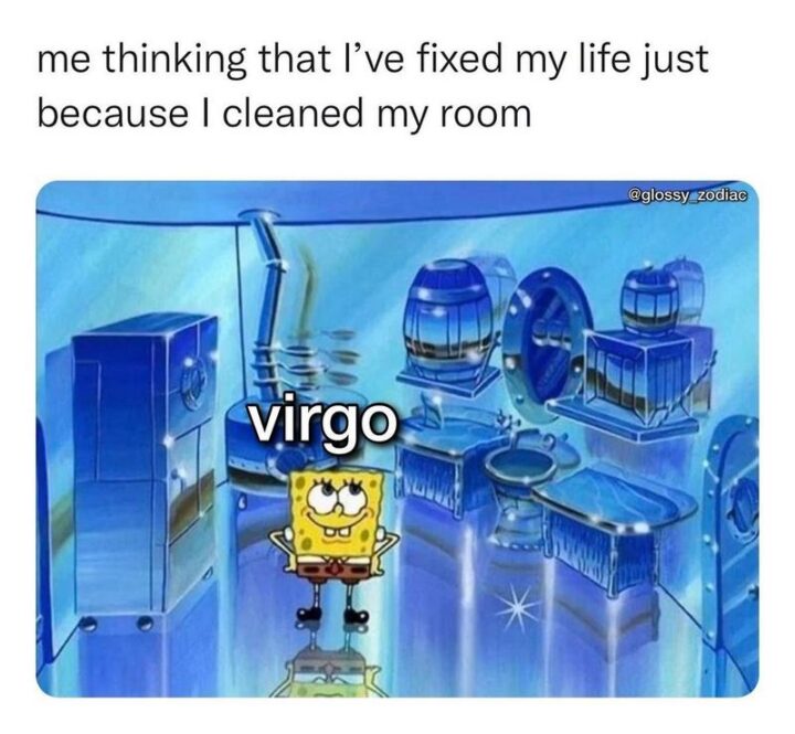 "Me thinking that I've fixed my life just because I cleaned my room. Virgo."