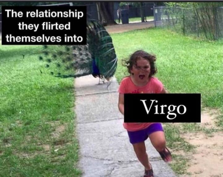 "The relationship they flirted themselves into. Virgo."