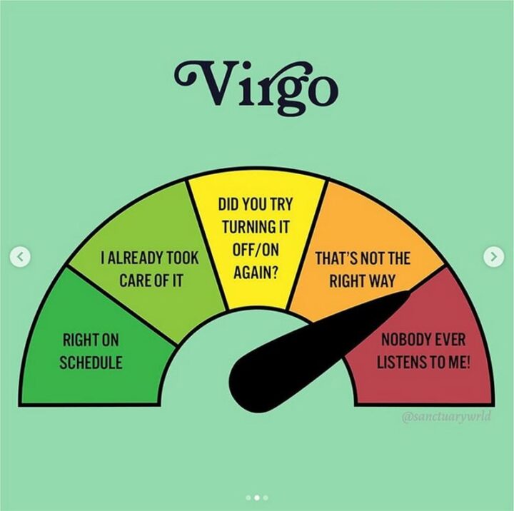 "Virgo: Right on schedule. I already took care of it. Did you try turning it off/on again? That's not the right way. Nobody ever listens to me!"