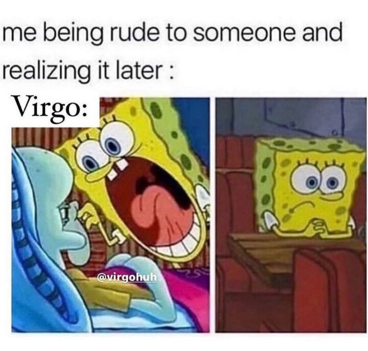 "Me being rude to someone and realizing it later. Virgo:"