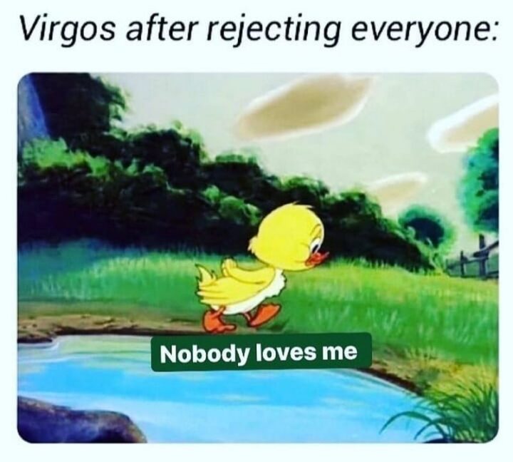 "Virgos after rejecting everyone: Nobody loves me."