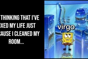 55 Funny Virgo Memes