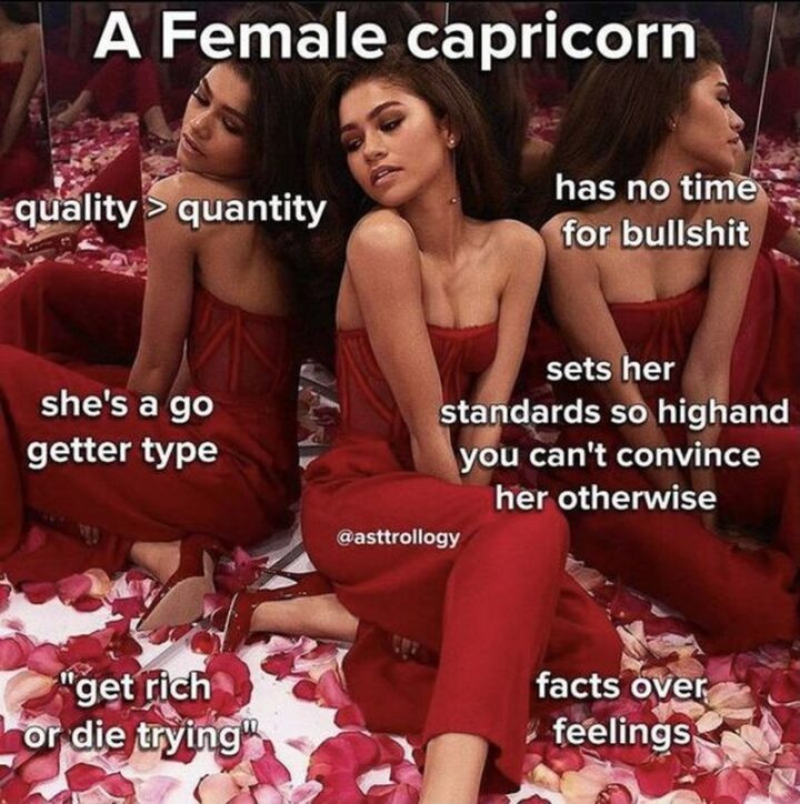 "A female Capricorn: Quality > quantity. Has no time for [censored]. She's a go-getter type. Sets her standards so high and you can't convince her otherwise. Get rich or die trying. Facts over feelings.