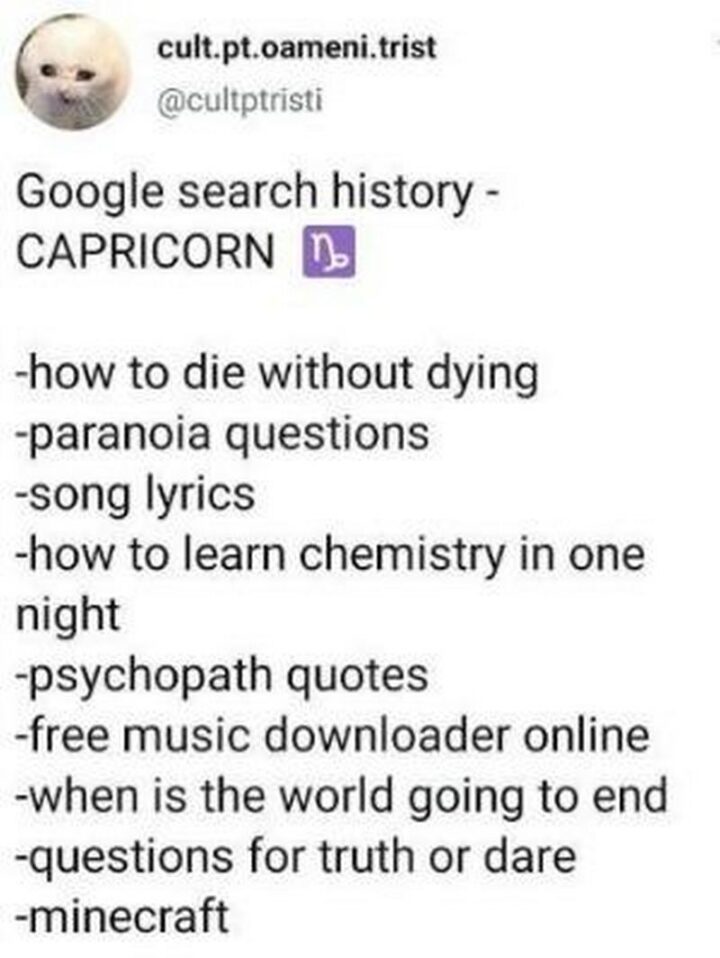 "Google search history - Capricorn: How to die without dying. Paranoia questions. Song lyrics. How to learn chemistry in one night. Psychopath quotes. Free music downloader online. When is the world going to end? Questions for truth or dare. Minecraft."