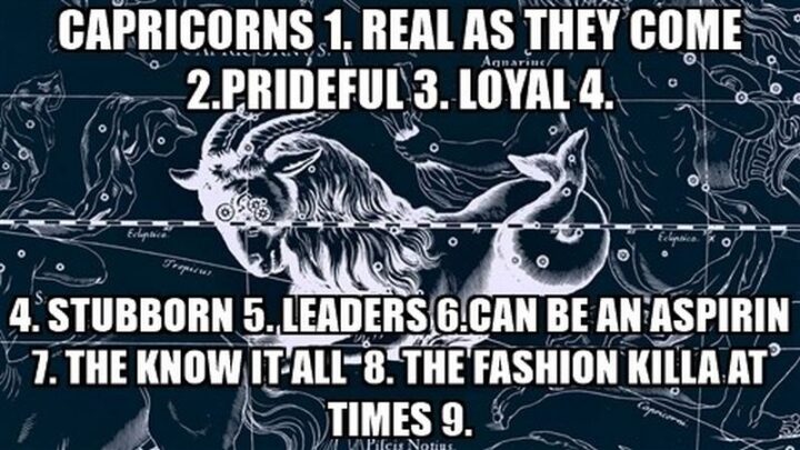 "Capricorns: Real as they come. Prideful. Loyal. Stubborn. Leaders. Can be an aspirin. The "know it all". The fashion killer at times 9."