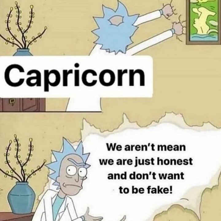 "Capricorn: We aren't mean. We are just honest and don't want to be fake!"