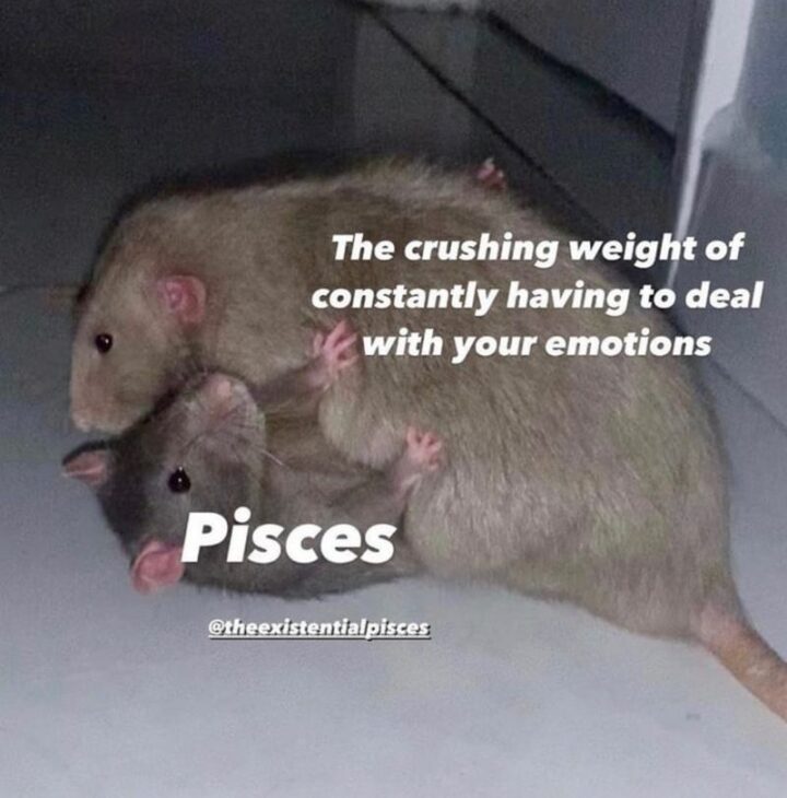 "The crushing weight of constantly having to deal with your emotions. Pisces."