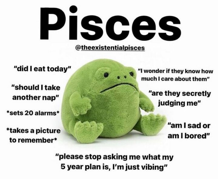 "Pisces: Did I eat today. I wonder if they know how much I care about them. Should I take another nap? Are they secretly judging me? *sets 20 alarms* *takes a picture to remember* Am I sad or am I bored. Please stop asking me what my 5-year plan is, I'm just vibing."