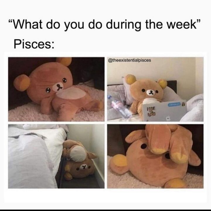"What do you do during the week. Pisces:"