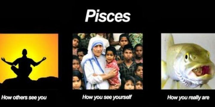"Pisces: How others see you. How you see yourself. How you really are."