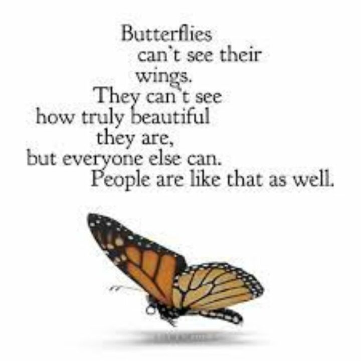 Butterflies can’t see their wings. They can’t see how beautiful they are, but everyone else can. People are like that.