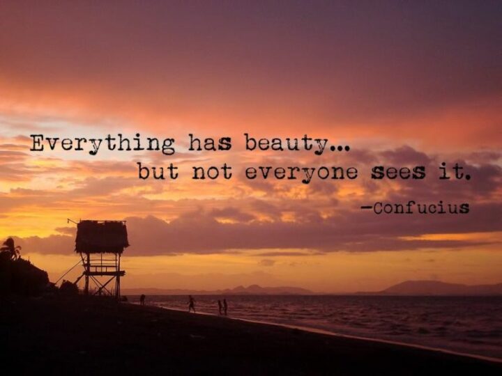 "Everything has beauty, but not everyone sees it." - Confucius