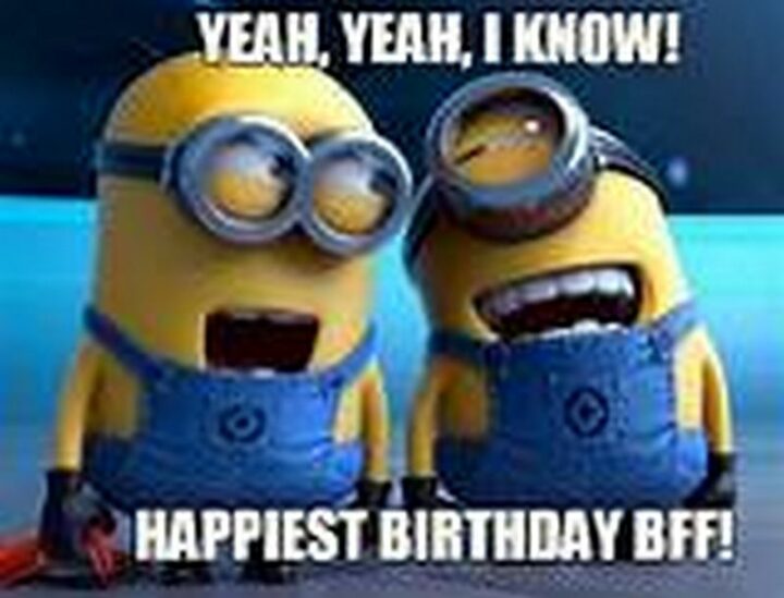 77 Friendship Happy Birthday Memes for Best Friends - "Yeah, Yeah, I know. Happiest birthday BFF!"