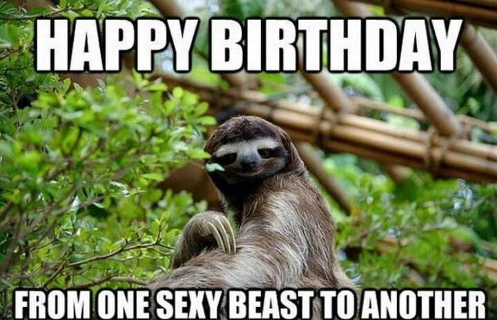 77 Friendship Happy Birthday Memes for Best Friends - "Happy birthday from one sexy beast to another."