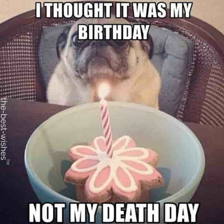 "I thought it was my birthday, not by death day."
