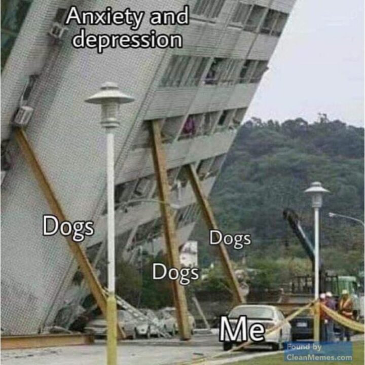 69 Clean Memes - "Anxiety and depression. Dogs. Me."