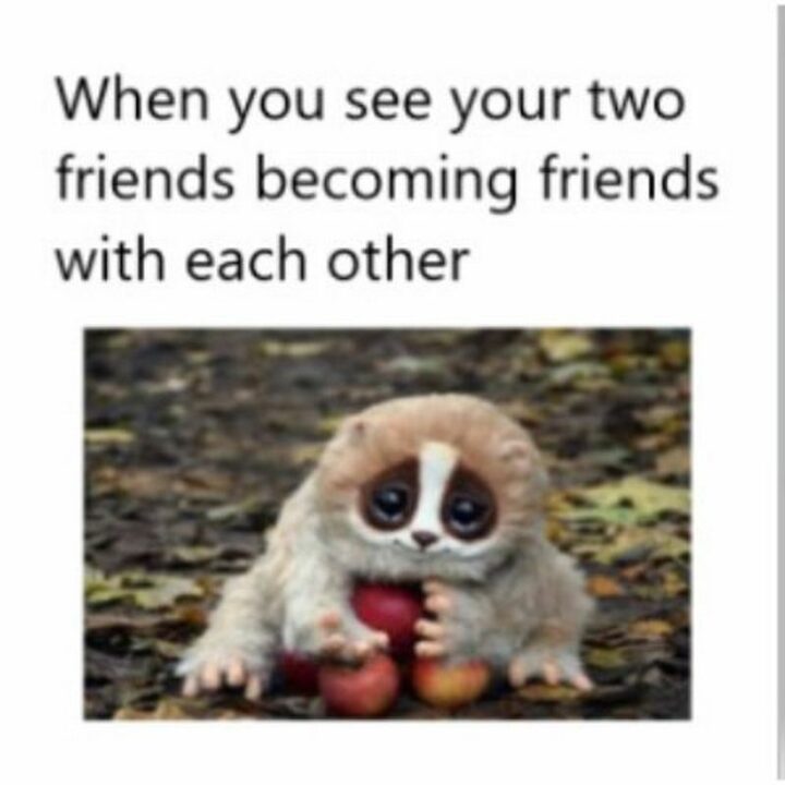 "When you see your two friends becoming friends with each other."
