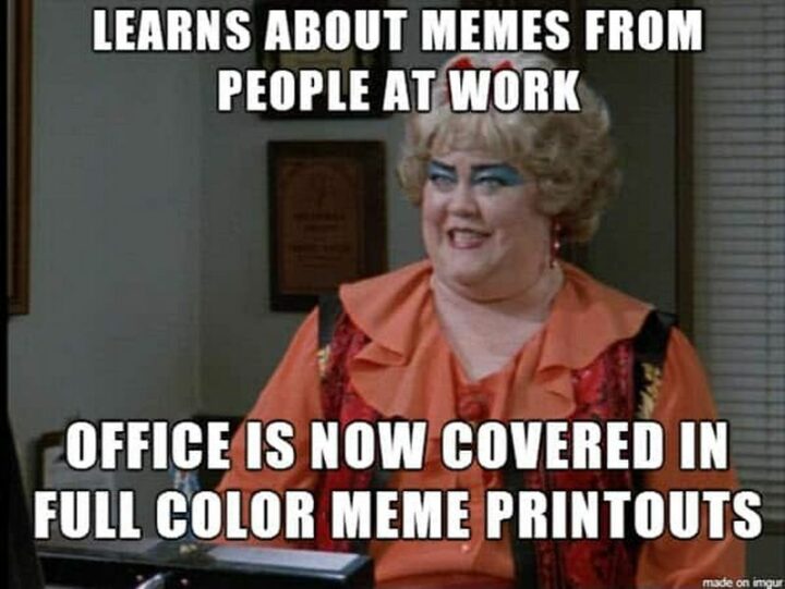 "Learns about memes from people at work. The office is now covered in full-color meme printouts."