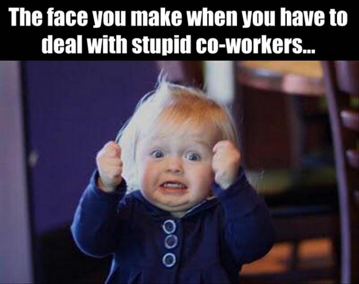 "The face you make when you have to deal with stupid coworkers or work friends..."