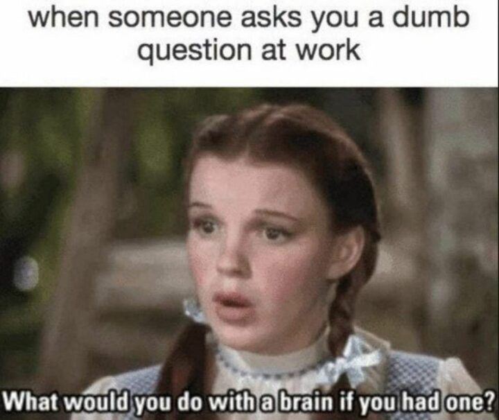 "When someone asks you a dumb question at work: What would you do with a brain if you had one?"