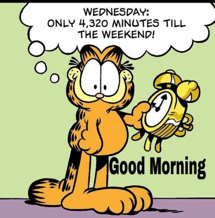 "Wednesday: Only 4,320 minutes till the weekend! Good morning.