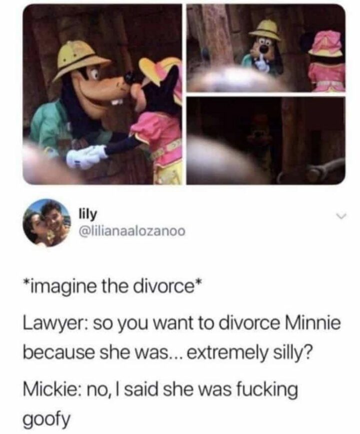 "*imagine the divorce* Lawyer: So you want to divorce Minnie because she was...Extremely silly? Mickie: No, I said she was [censored] Goofy."