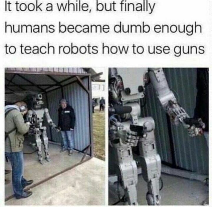 "It took a while, but finally humans became dumb enough to teach robots how to use guns."