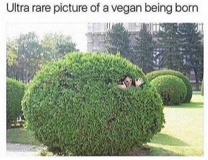 "Ultra-rare picture of a vegan being born."