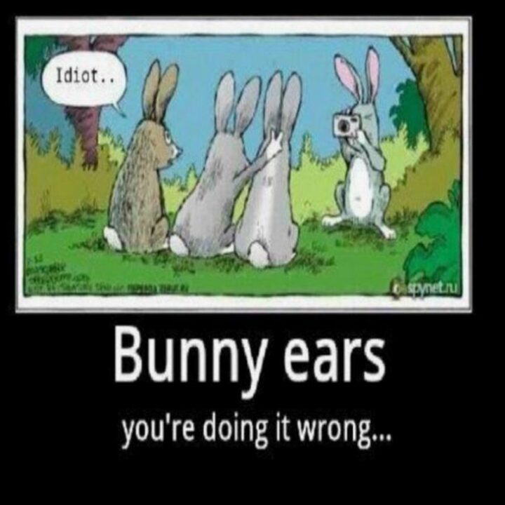 "Bunny ears, you're doing it wrong...Idiot..."