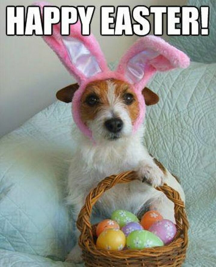 "Happy Easter!"