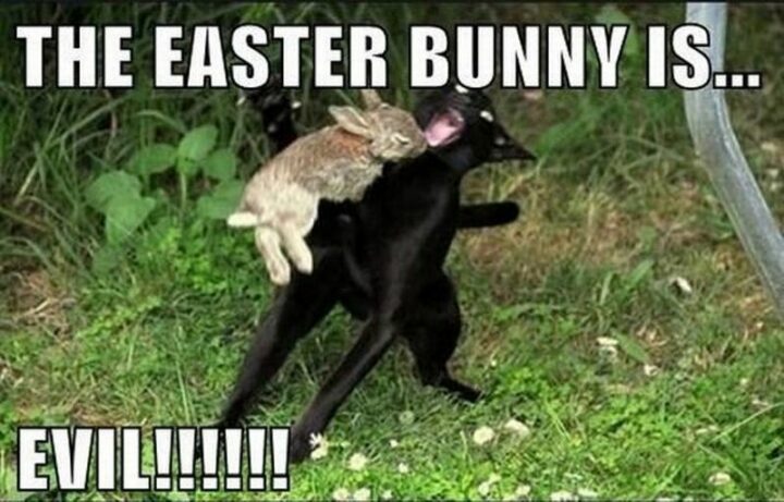 "The Easter bunny is evil!"