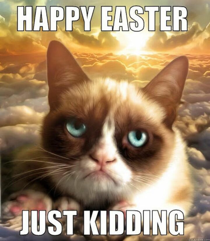 "Happy Easter. Just kidding."