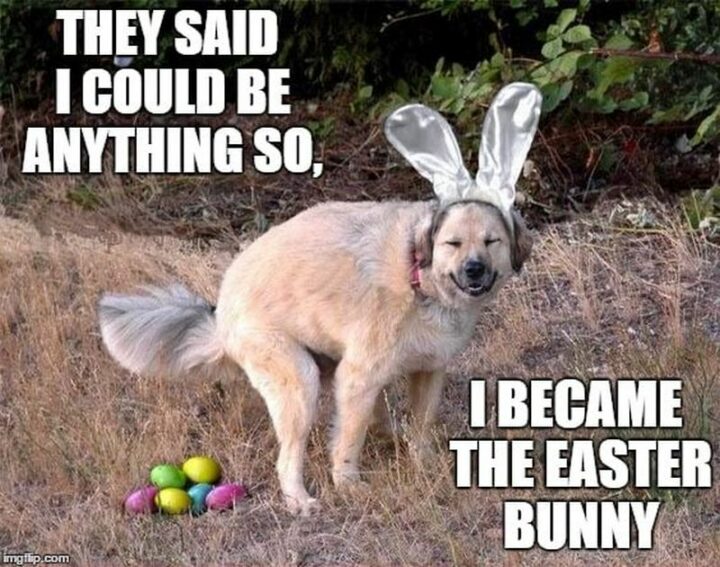 "They said I could be anything so I became the Easter bunny."