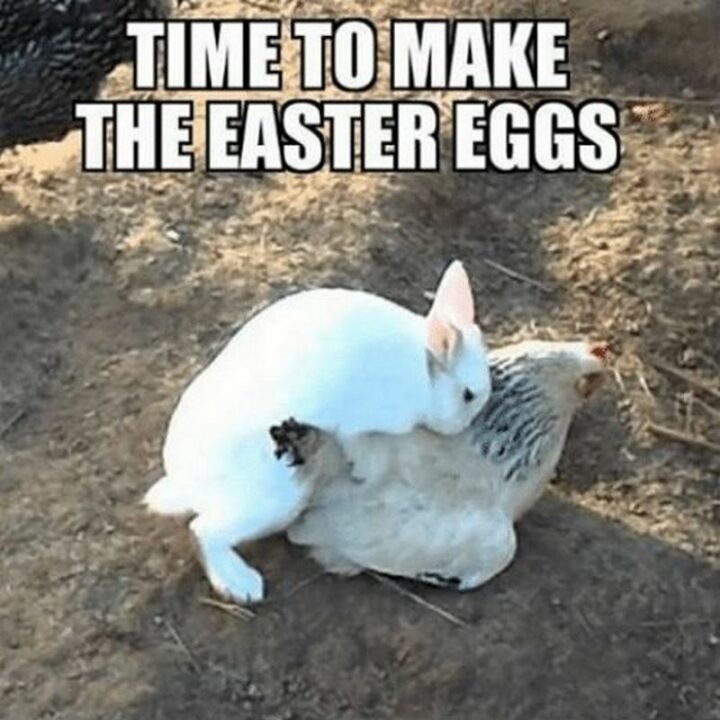 "Time to make the Easter eggs."