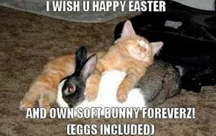 "I wish u a happy Easter and your own soft bunny forevers! (eggs included)."