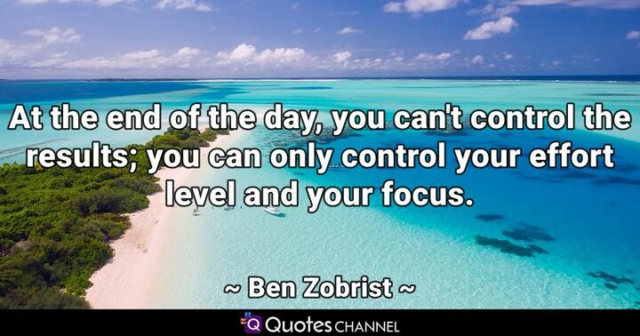 "At the end of the day, you can't control the results; you can only control your effort level and your focus." - Ben Zobrist
